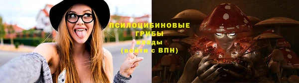 винт Алексин