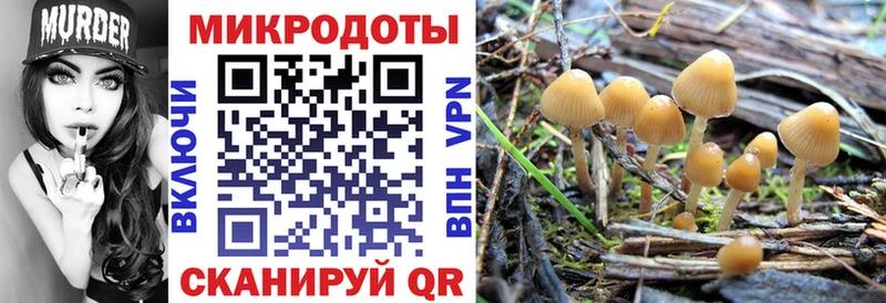 Псилоцибиновые грибы мицелий  Мостовской 